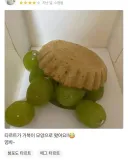 멘탈 초긍정 사람의 리뷰.jpg