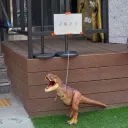 현재 논란중인 입마개 논란