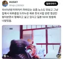 케이팝 댄스추는 미야자키 하야오 할아부지