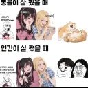 솔찍히 살찐 인간은 보기 그렇지