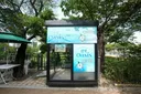폭염 생수 근황