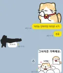 이리는 안하지만 이리콘 사기