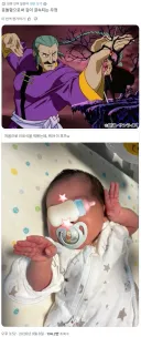 건담) 현실에 동방불패 마스터 아시아 선생이 탄생하다