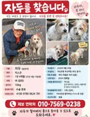 실종 강아지를 애타게 찾고 있는 할아버지