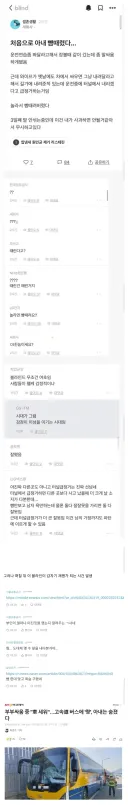 운전 연습 도중 와이프 싸대기 때린 블라인....ㄷㄷ