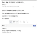 쫄리는 한동훈과 그걸지켜보는 전용기