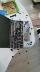 앵무새 분양합니다