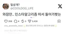 현시점 논란의 모 대학축제 홈마존 신청서.jpg