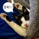 나도 가챠겜 한복 논란에 참전한다!!!