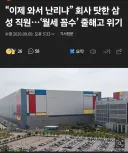 월세지원금 부정수급... 삼전직원 죽을거같다 호소....jpg