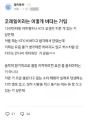 코레일은 어떻게 버티는 거임?