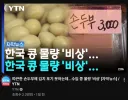 한국 콩 물량 '비상' 한국 콩 물량 '비상'