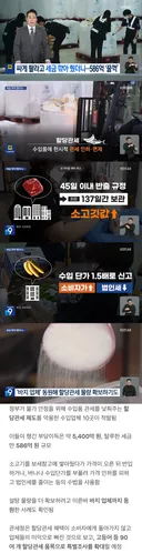 세금 감면해 줬더니 단가 부풀려서 586억 탈세하다 걸린 수입 업체들