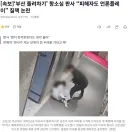 부산 돌려차기 항소심 판사 : 피해자도 언론 플레이 하지 마라