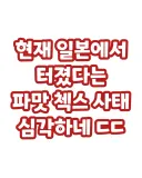 현재 일본에서 터지고있는 파맛 첵스 사태