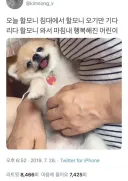 할모니 침대에서 할모니 오기만 기다리다 할모니 와서 마침내 행복해진 어린이.jpg