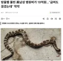 미국에서 방울뱀에 물리면 살아남기 힘든 이유.JPG
