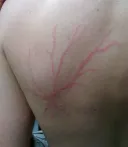 문신 혐오자들은 이런것도 싫어 할려나?