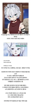 3억 가량 도네받고 방송 접었었던 보추 퍼리 스트리머.img