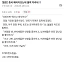 중국 패러디보는데 필력 지리네.