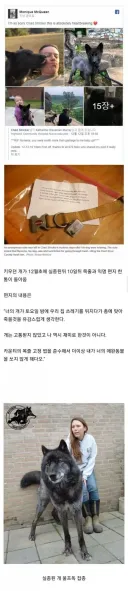 키우던 개가 실종 10일만에 목줄과 함께 익명의 편지만 돌아옴