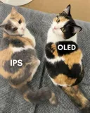 IPS vs OLED