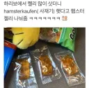 햄스터가 된 손님.jpg