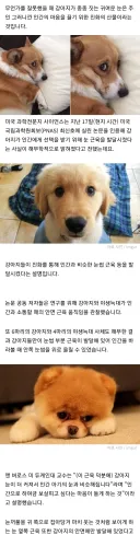 강아지와 표정