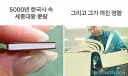 5천년 역사 속 세종대왕이 차지하는 영역.jpg