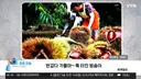 아침 기온 실내에서는 딱 좋네요
