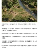 신이 되어 관찰하는 게임 개발중이라는 유저