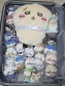 여동생 치이카와 대리 토벌해준 결과.