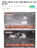 산책하다 '피투성이' 된 남성…맹견에 물렸는데, 견주 "공격 빌미 줬다"