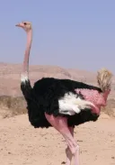 오늘자 유게이들을 배신하는 정보