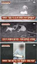 산책하다 '피투성이' 된 남성…맹견에 물렸는데, 견주 공격 빌미 줬다