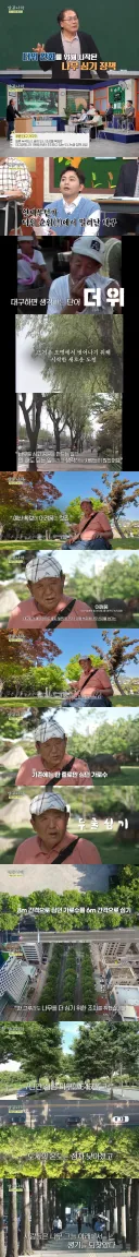 쓸데없이 예산 낭비한다고 욕 먹은 지자체