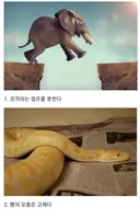 의외인 동물 상식 10가지