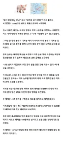 돼지한마리때문에 국가간 전쟁