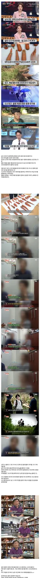 1억짜리 당근 서리 사건의 결말