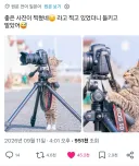 거 작가양반 사진 잘 나왔어?
