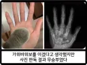 고양이: 이 승부 결과… 사진판독을 요청합니다.jpg