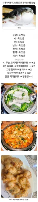 자기 먹지 말라고 온몸으로 말하는 생물