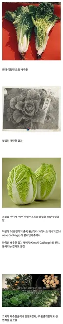 농학자 우장춘 박사님의 업적