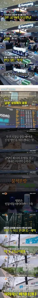 상장폐지 위기 금양의 필살기 사용 (배터리주)