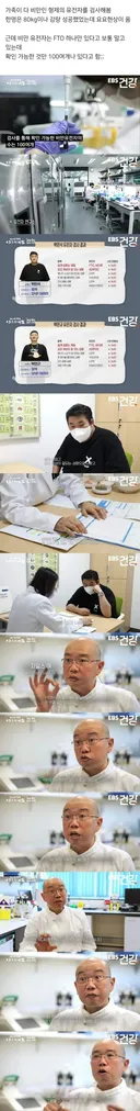 비만 유전자 오열