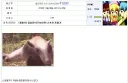 멈춰라! 여기서부턴 나 혼자 가겠다!