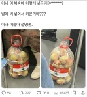 복숭아 어케 넣은거야?