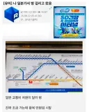 일본가서 일본 달라 병 걸린 근첩..jpg