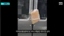 서울 지하철 2호선 피자 빌런news