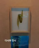 700억 예산 여수 섬박람회 볼거리 근황